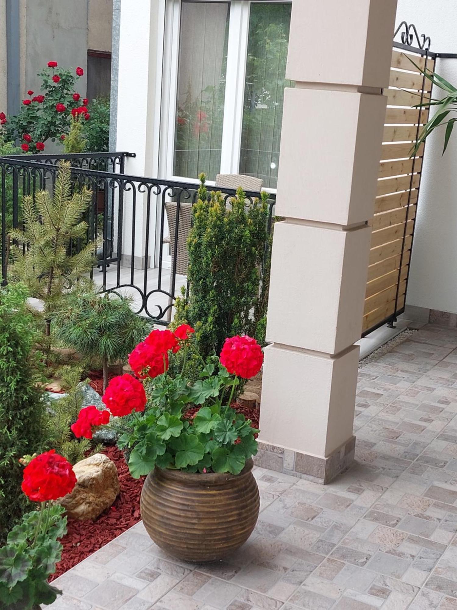 Apartmani Radulovic Vrnjačka Banja Szoba fotó