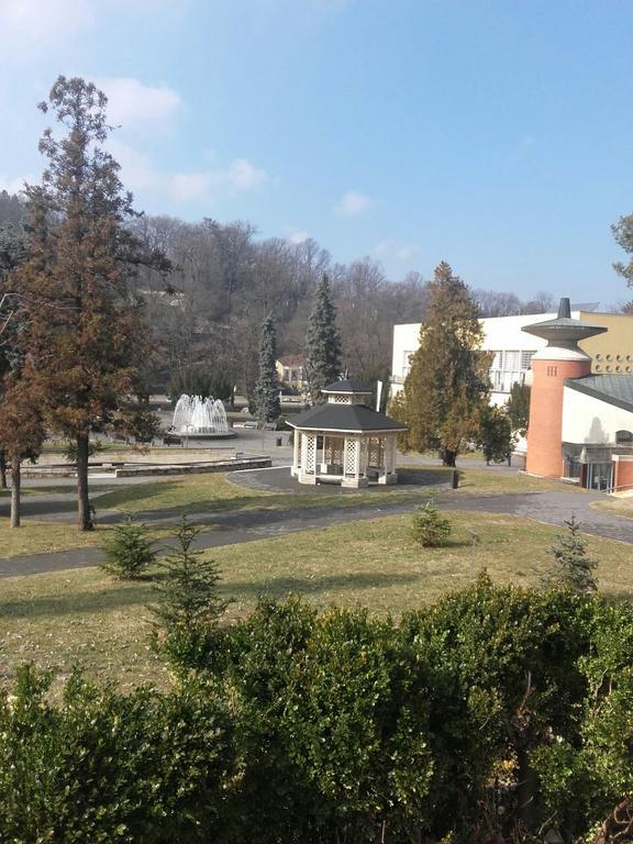 Apartmani Radulovic Vrnjačka Banja Kültér fotó
